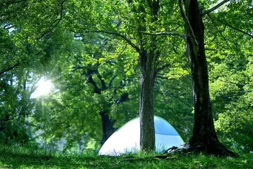 2023年6月14日(水)は社内イベントの為休業とさせていただきますの画像