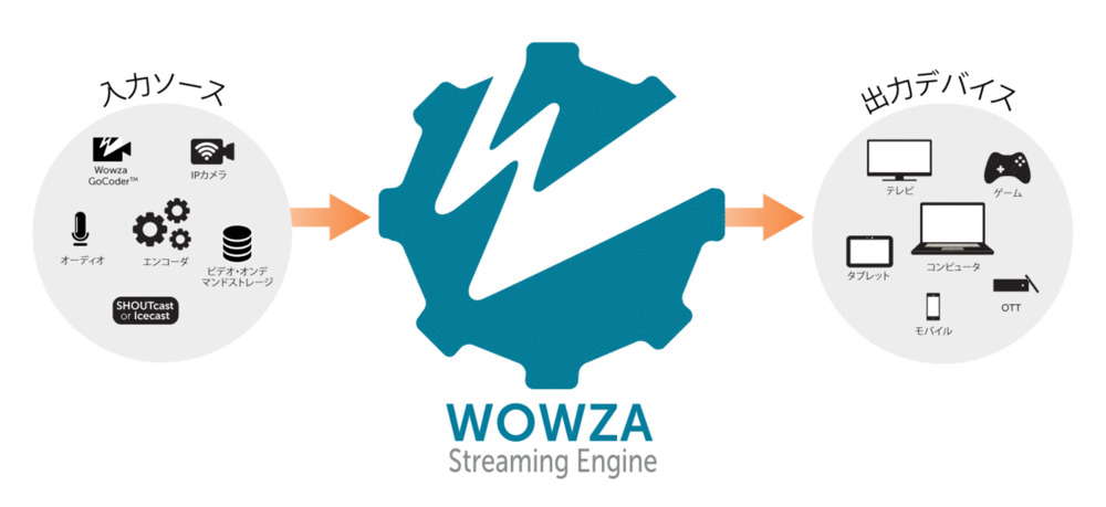WOWZAストリーミングサーバーを使った監視カメラ収録システムの構築の画像